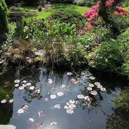 De Oude Pastorie Bed & Breakfast
