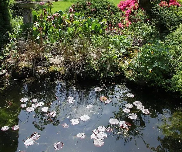 De Oude Pastorie Bed & Breakfast