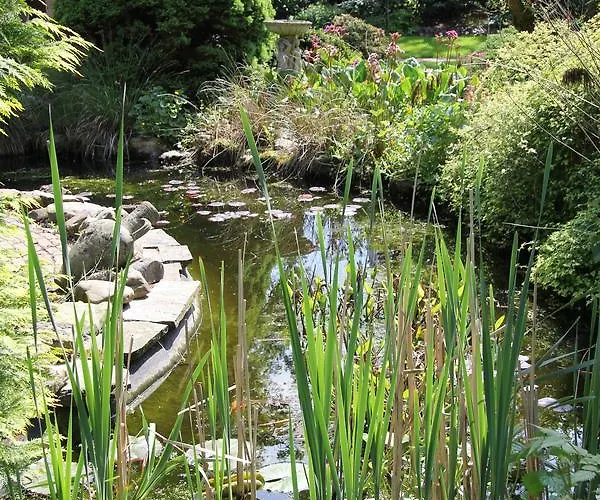 De Oude Pastorie לינה וארוחת בוקר Netersel